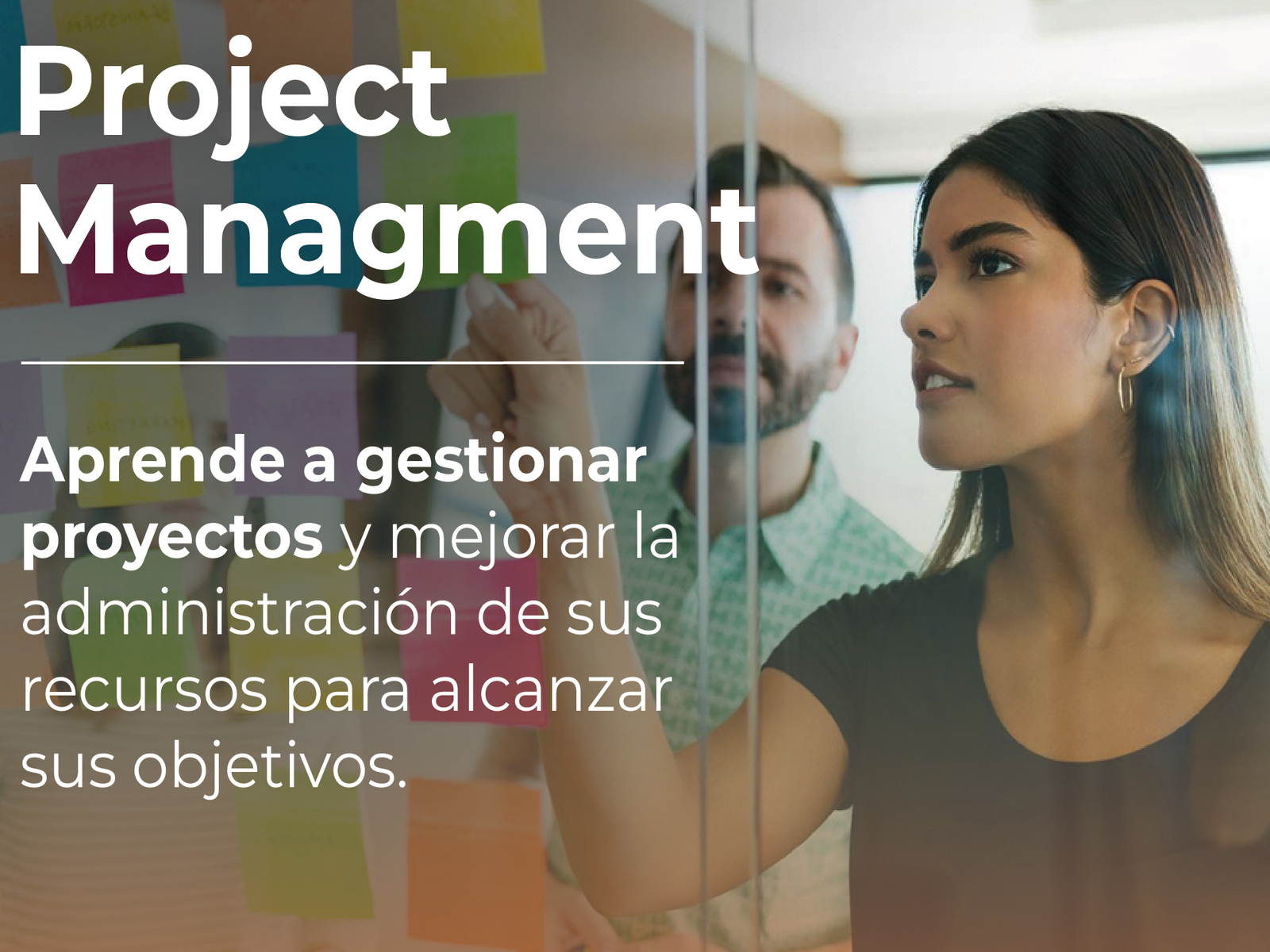 Project Management